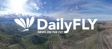 lv daily fly facebook|Daily Fly .